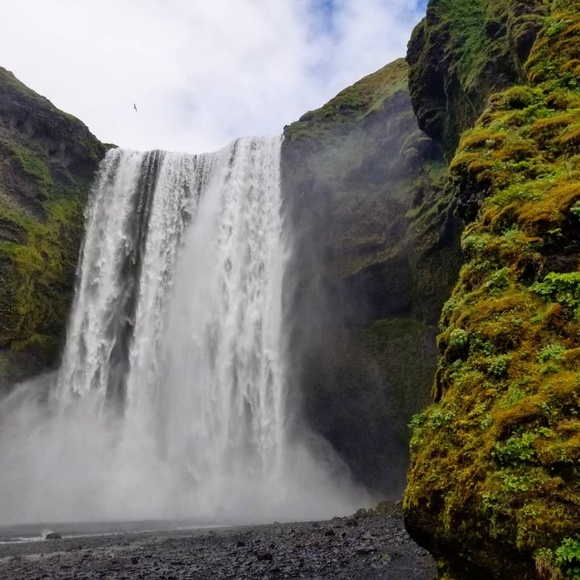 Meet your Posher, Katherine - Picture 1 of 1